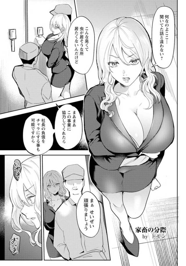 パンツ丸見えで幼馴染の部屋で寝てしまったお姉さん…寝込みフェラをさせて生挿入されて中出し絶頂イキしちゃう
